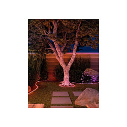 Acheter Philips Hue Bande LED néon extérieure 10 m multicolore Bluetooth/Zigbee IP44