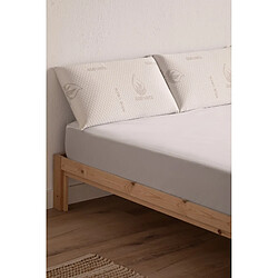 Acheter Dream&Co Oreiller viscoélastique Aloe Vera 80, fermeté moyenne, ergonomique et adaptable