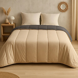 Mortreux Couette Sable/Gris Foncé - Légère - 2 personnes - 240x260 - 13243-4