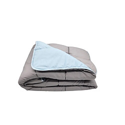 Acheter Mortreux Couette Gris Clair/Bleu Clair - Légère - 1 personne - 140x200 - 13241-5