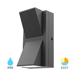BRAYTRON Applique murale LED Extérieure 2x6W 3en1 IP65 Gris