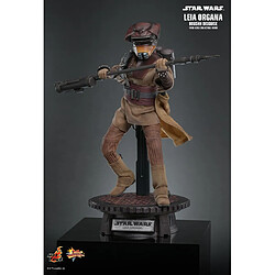 Avis Hot Toys MMS854 - Star Wars : Return Of The Jedi - Leia Organa Boushh Disguise