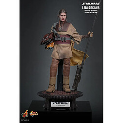 Acheter Hot Toys MMS854 - Star Wars : Return Of The Jedi - Leia Organa Boushh Disguise