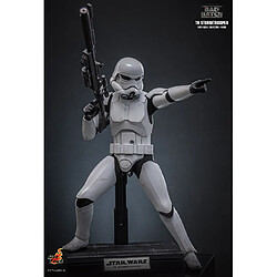 Avis Hot Toys TMS175 - Star Wars : The Bad Batch - TK Stormtrooper