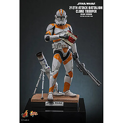 Avis Hot Toys MMS852 - Star Wars : Revenge Of The Sith - 212TH Attack Battalion Clone Trooper
