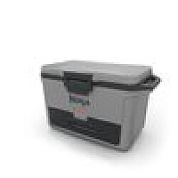 Acheter Ninja glacière FrostVault 47 L - Gris