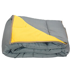 Acheter Mortreux Couette Gris anthracite / Moutarde - Légère - 1 personne - 13220-7