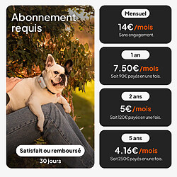 Acheter Weenect XS Dogs Black
