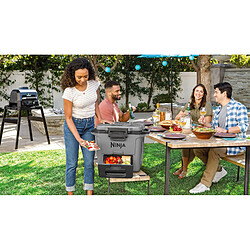 Ninja glacière FrostVault rigide - Gris