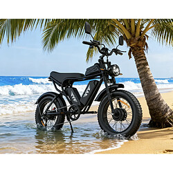 Avis Vélo électrique RIDSTAR/YVY Q20 PRO,Double moteur 2000W ,batterie 52V40Ah Autonomie 200km