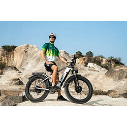 Vélo Électrique DUOTTS F26 ,Double Moteur 1500W, Batterie Samsung 48V20Ah, Autonomie 120km pas cher