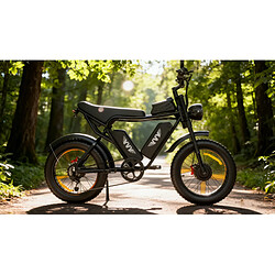 Acheter Vélo électrique RIDSTAR/YVY Q20 PRO,Double moteur 2000W ,batterie 52V40Ah Autonomie 200km