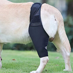 Accessoires chien de chasse