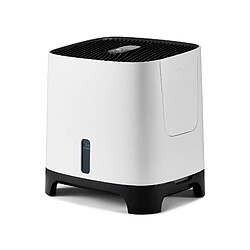 Avis Humidificateur evaporatif Meaco Armin 300ml silencieux Silvertex