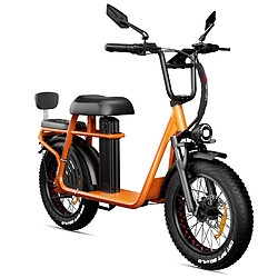 DrVetion ET20 adulte Vélo Electrique, Moteur 1000W,Batterie Samsung 15 Ah,Autonomie 100km