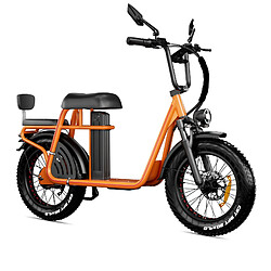 DrVetion ET20 adulte Vélo Electrique, Moteur 1000W,Batterie Samsung 15 Ah,Autonomie 100km pas cher