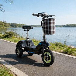 TWOFISH Trottinette tricycle 350W,48V15Ah, Vitesse 28km/h, Autonomie 30km,Siège Détachable pas cher