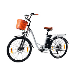 Avis Vélo électrique TTGO Y26 - Moteur 250W,batterie 48V 14.5Ah ,Autonomie 75KM,Homme/Femme VAE
