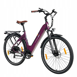 Vélo électrique TTGO C3PRO -Bafang Moteur 250W - batterie 48V 20Ah - Autonomie 85KM