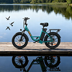 Vélo Électrique URLIFE E20 - Autonomie 100km - Moteur 500W - Batterie 48V13Ah - Urbain VAE pas cher