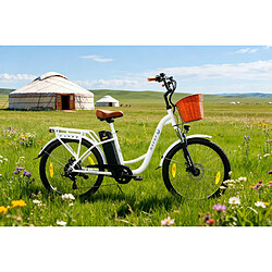 Vélo électrique TTGO Y26 - Moteur 250W,batterie 48V 14.5Ah ,Autonomie 75KM,Homme/Femme VAE pas cher