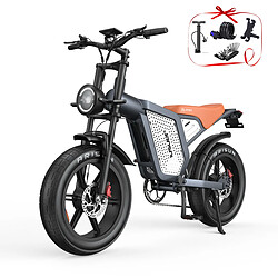 JANSNO Vélo Électrique Dual Moteurs 1500W,Batterie 48V 23Ah - Autonomie 100km,Shimano 7 Vitesses