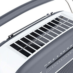 Avis THOMSON Radio Analogique Compatible Bluetooth DAB/DAB+/FM à Recharge Solaire et USB-C Gris