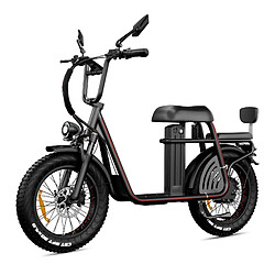DrVetion ET20 adulte Vélo Electrique, Moteur 1000W,Batterie Samsung 15 Ah,Autonomie 100km