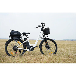 Vélo électrique de ville - TTGO C2 Pro - Autonomie 120 km - Batterie 36V18Ah - Moteur 250W pas cher