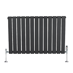 Monstershop Radiateur Plat à 1 Panneau & Vannes - 600 x 910 mm - Gris Anthracite
