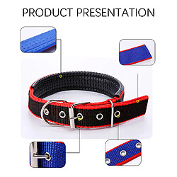 Avis INF Collier souple et réglable pour chien avec boucle en métal MultiColor