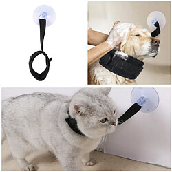 Collier pour chien INF