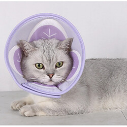 Acheter INF Collier de protection pour animaux de compagnie, respirant et réglable S