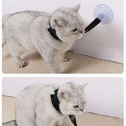 INF Grand collier de bain pour animaux de compagnie avec ventouses S pas cher