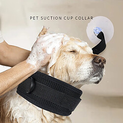 Acheter INF Grand collier de bain pour animaux de compagnie avec ventouses S