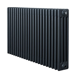 Monstershop Radiateur Traditionnel à 4 Colonnes 600 x 1010 mm en Acier Gris Anthracite