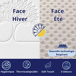 Acheter DAGOSTINO HOME Matelas 180x200 Accueil mémoire de forme "Life Tree" - Ferme - Réversible - H30 Cm