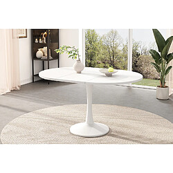 Merax Table à Manger Extensible Ovale-100/140x100x75 Cm-minimaliste Et Moderne-blanc