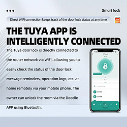 INF Serrure de porte intelligente avec poignée : Empreinte digitale, mot de passe, clé et déve pas cher