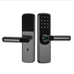 INF Serrure de porte intelligente grise - Accès via application, mot de passe, carte et clé