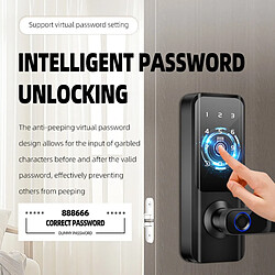 Avis INF Serrure de porte intelligente avec poignée : Empreinte digitale, mot de passe, clé et déve