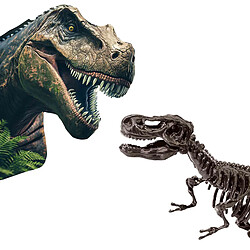 Fouille de dinosaures et de squelettes 2 en 1 - T-rex - SES CREATIVE pas cher
