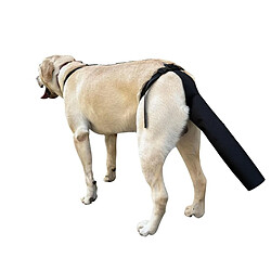 INF Protection Ajustable pour Queue de Chien - Soin des Plaies, Anti-Morsure & Prévention de l 