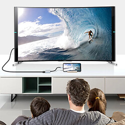 INF Hub Type-C 2-en-1 : Double sortie HDMI pour une connectivité transparente pas cher