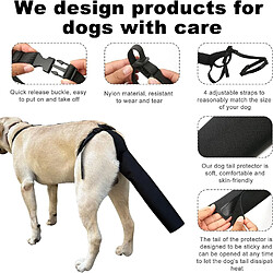 Acheter INF Protection Ajustable pour Queue de Chien - Soin des Plaies, Anti-Morsure & Prévention de l