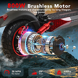 FREEBOY J01 Trottinette Électrique Adulte 800W