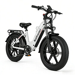 Vélo électrique S8 Dual Moteurs 3000W,Samsung 48V20Ah - Autonomie 100km,Shimano 7V, 50km/h