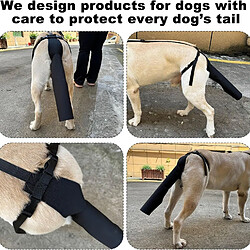 INF Protection Ajustable pour Queue de Chien - Soin des Plaies, Anti-Morsure & Prévention de l pas cher