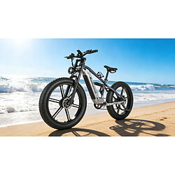 Vélo électrique S9 Dual Moteurs 2000W,48V20Ah autonomie 120km Shimano 7V freins hydrauliqu pas cher