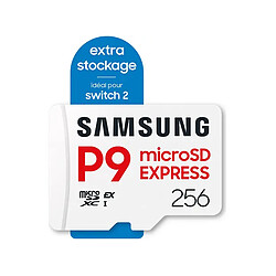 Samsung P9 Express microSDXC 256 Go pas cher